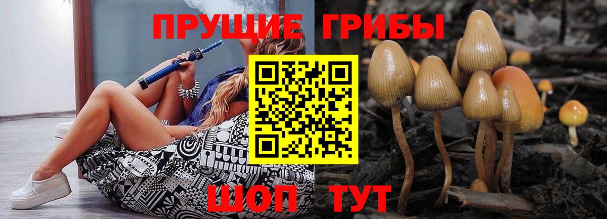 Менделеевск  Псилоцибиновые грибы Psilocybine cubensis  где продают наркотики  Псилоцибиновые грибы прущие грибы  Вход с VPN 