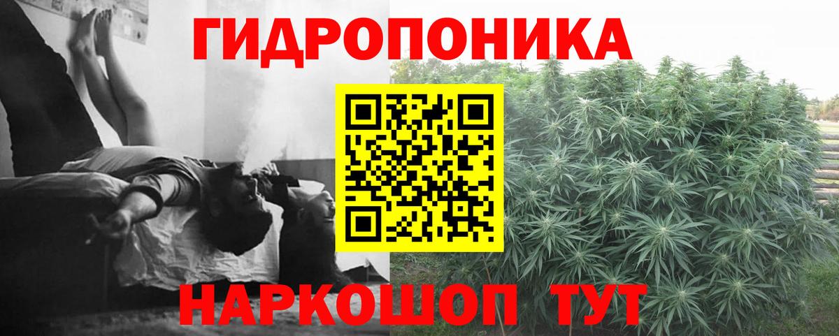 Бошки марихуана тримм  Шишки марихуана SATIVA & INDICA  Менделеевск  Вход с VPN  Марихуана VHQ  Бошки марихуана VHQ 